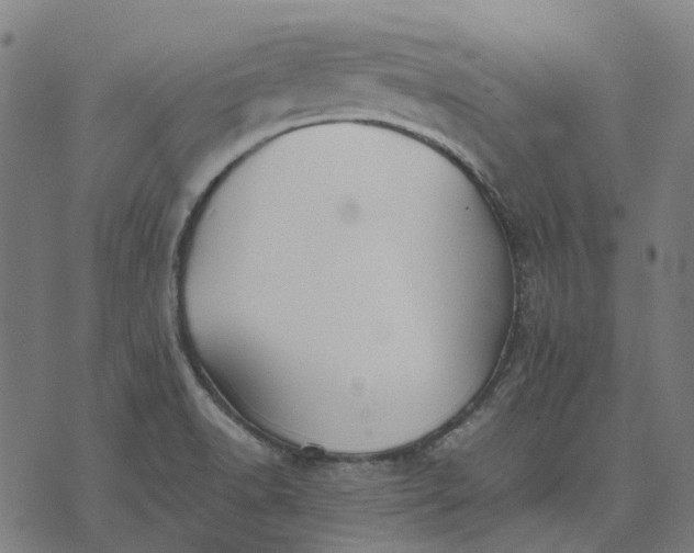 X0000070401518200606231749