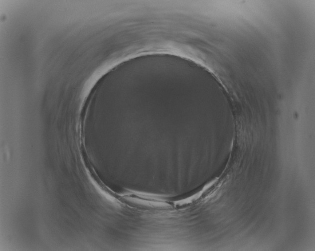 X0000070401519200606231749