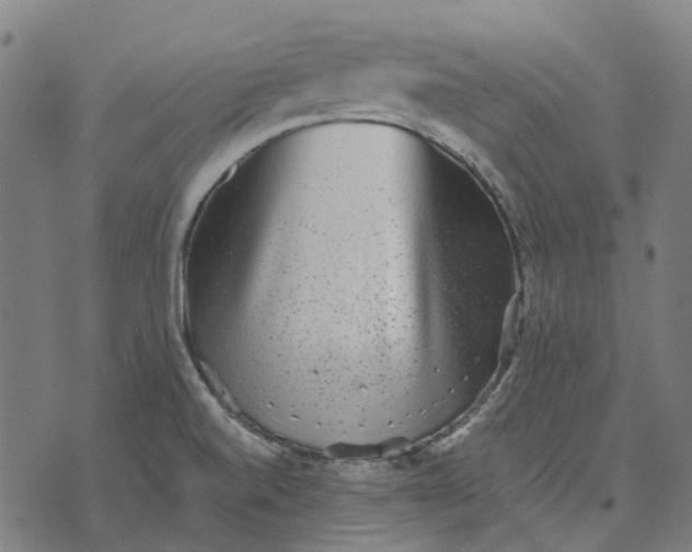 X0000070401520200606231750