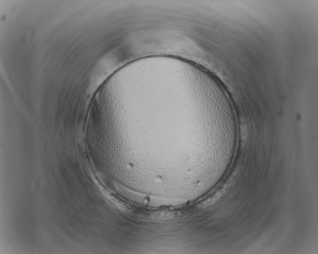 X0000070401521200606231750