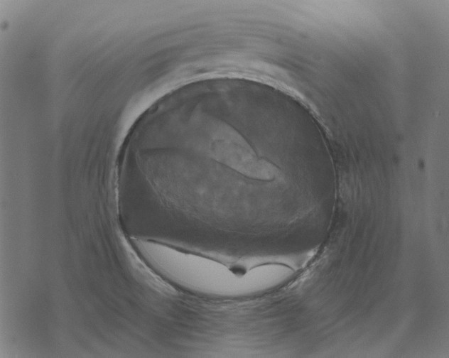 X0000070401522200606231750