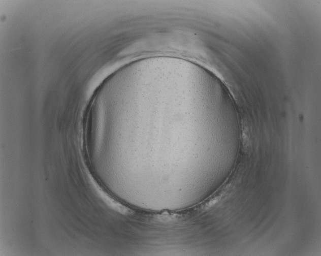 X0000070401523200606231750