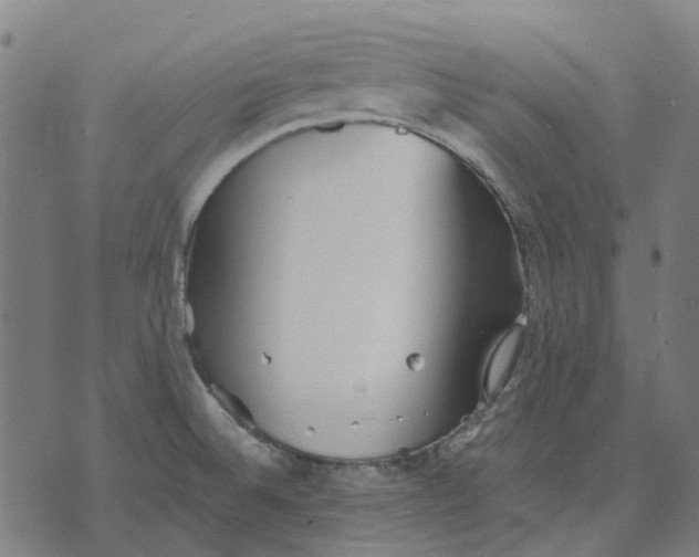 X0000070401524200606231750