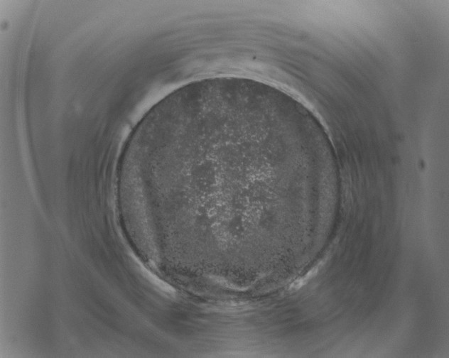 X0000070401525200606231750