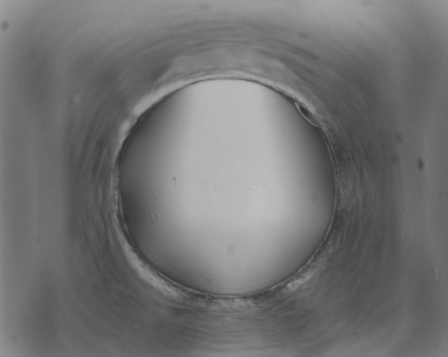 X0000070401526200606231750