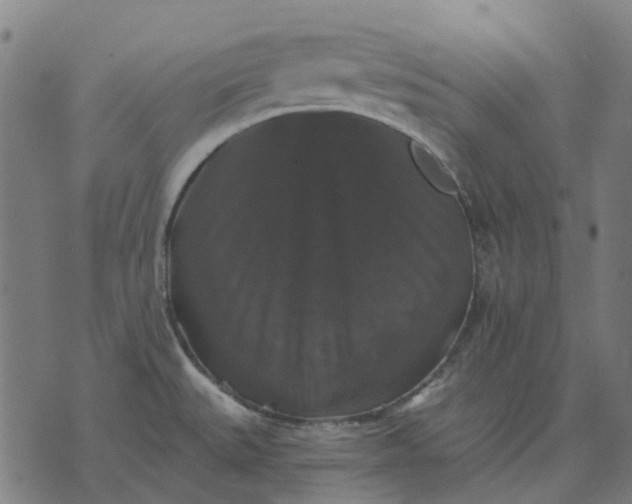 X0000070401527200606231750