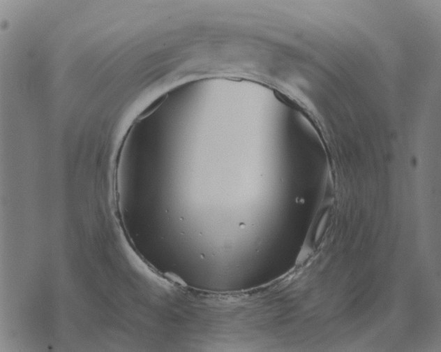 X0000070401528200606231750