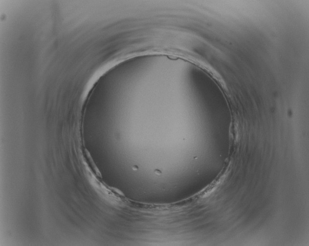 X0000070401530200606231750