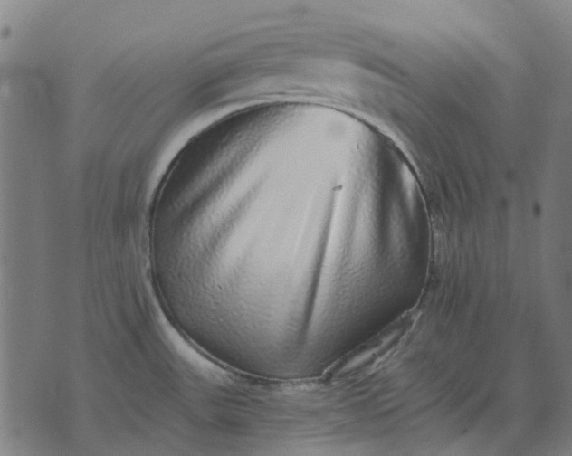 X0000070401531200606231750