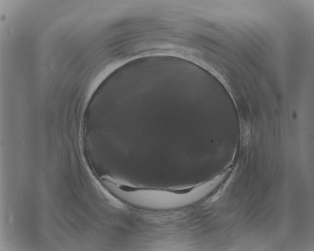 X0000070401533200606231750