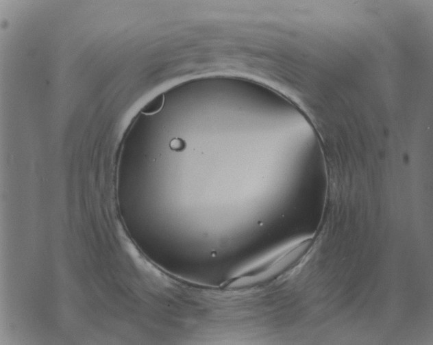 X0000070401534200606231750