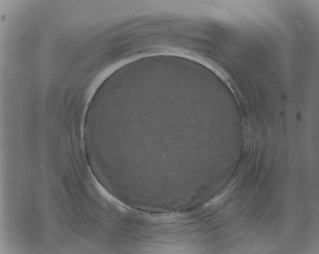 X0000070401535200606231750