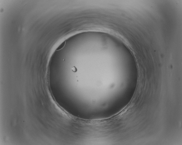 X0000070401536200606231750