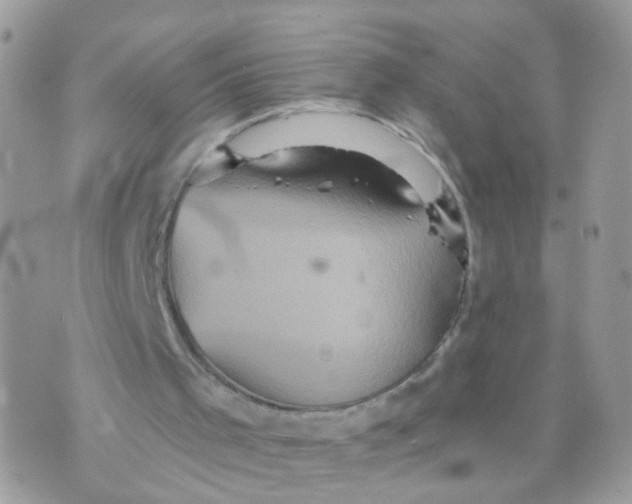 X0000070400001200606302023