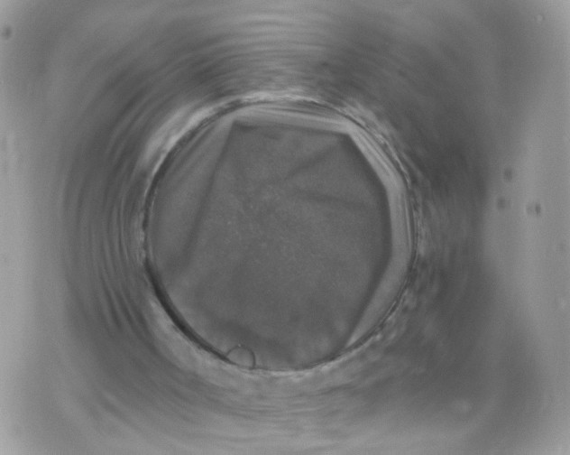 X0000070400002200606302023