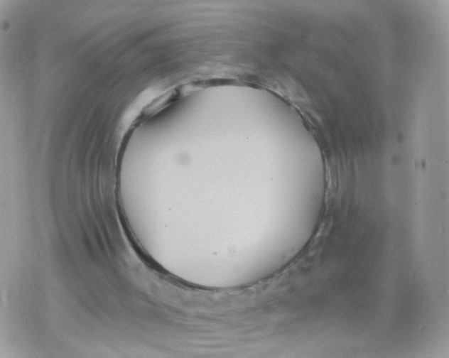 X0000070400003200606302023