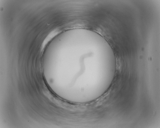 X0000070400004200606302023