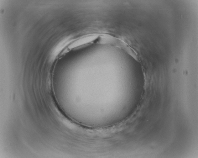 X0000070400005200606302023