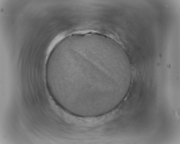 X0000070400006200606302023