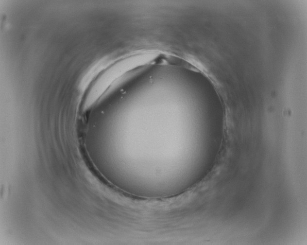 X0000070400007200606302023