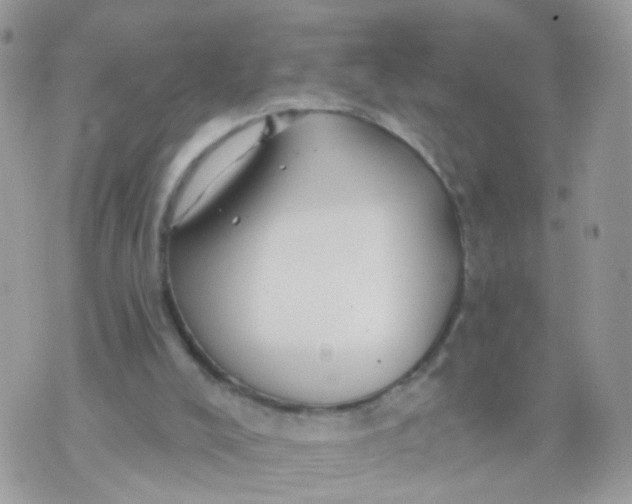 X0000070400008200606302023