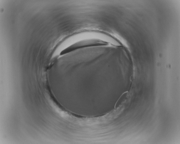 X0000070400009200606302023