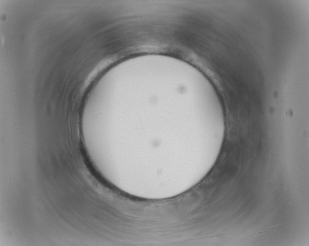 X0000070400011200606302023