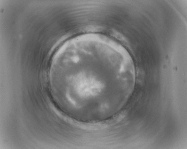 X0000070400012200606302023