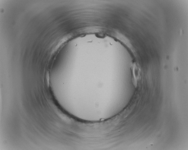 X0000070400013200606302023