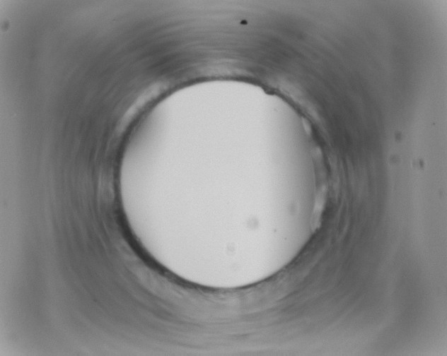 X0000070400015200606302023