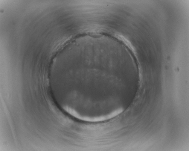 X0000070400017200606302023