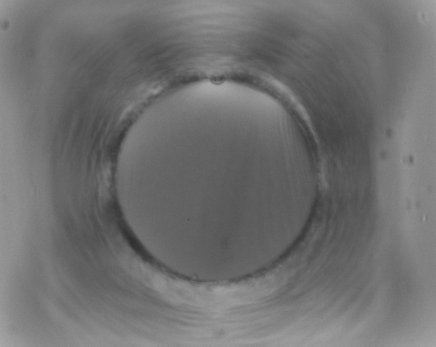 X0000070400018200606302023