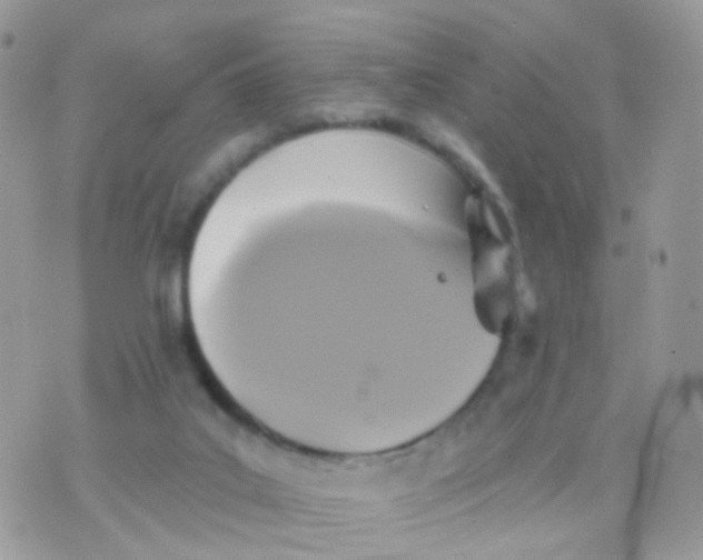 X0000070400019200606302023