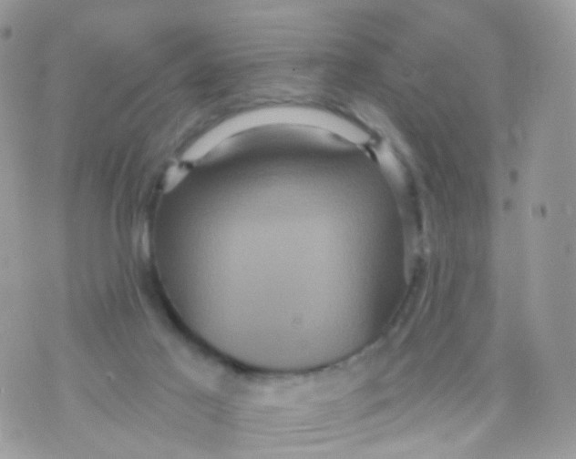 X0000070400021200606302022