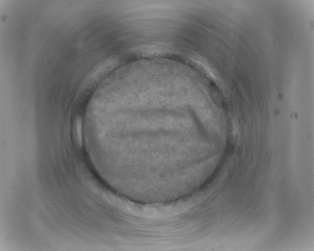 X0000070400022200606302022