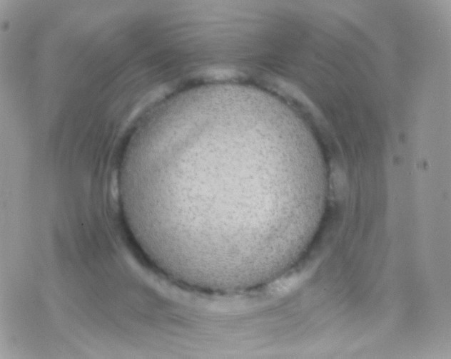 X0000070400024200606302022