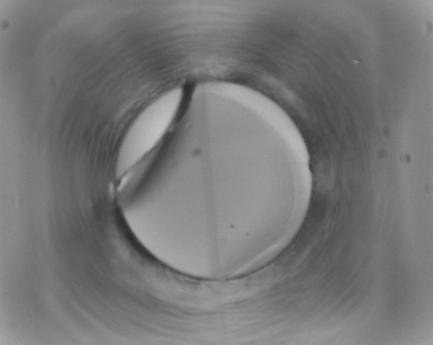 X0000070400027200606302022