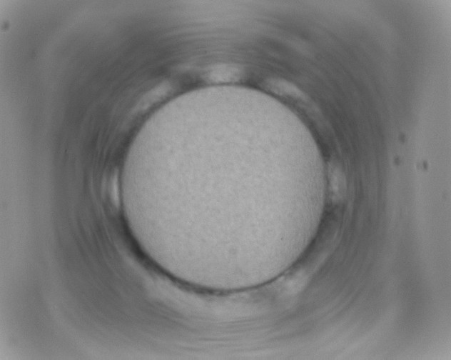 X0000070400028200606302022