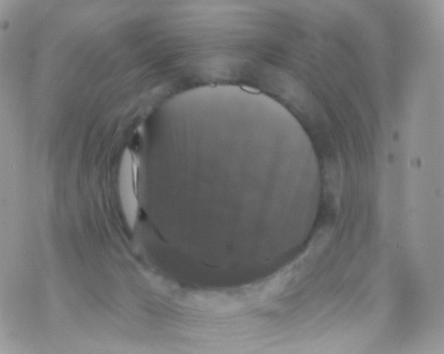 X0000070400029200606302022