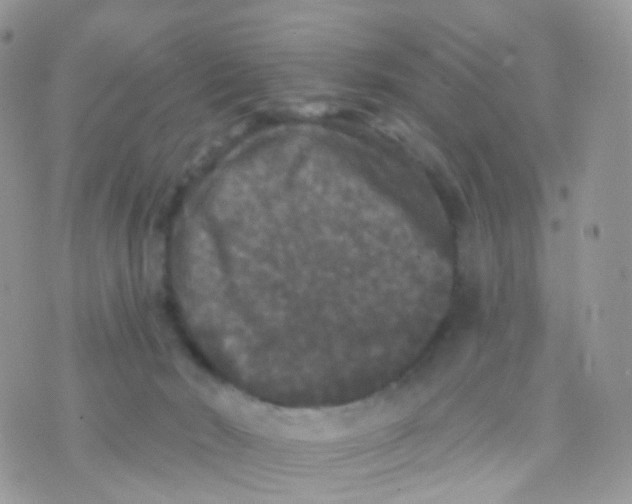 X0000070400030200606302022