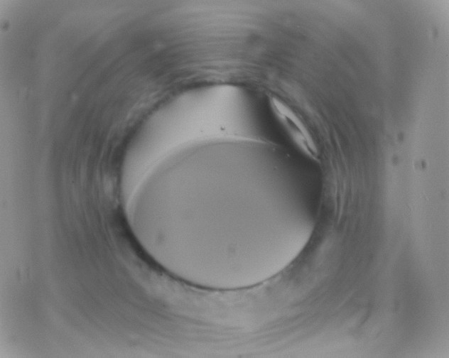 X0000070400031200606302022