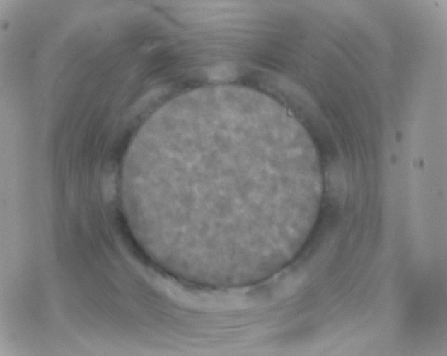 X0000070400032200606302022