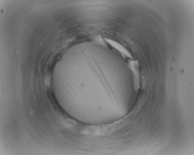 X0000070400033200606302022