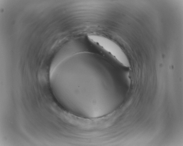 X0000070400035200606302022