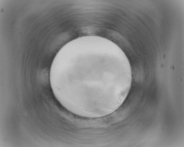 X0000070400036200606302022