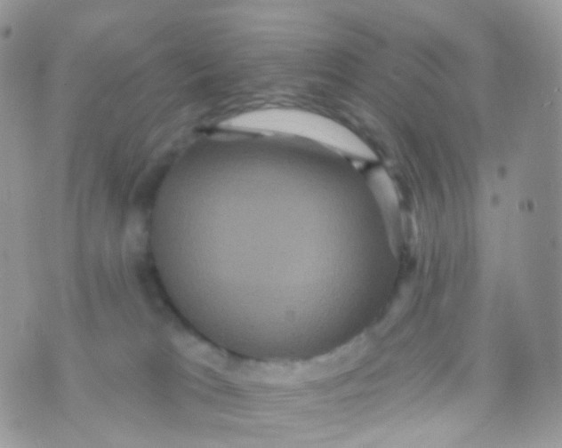 X0000070400037200606302022