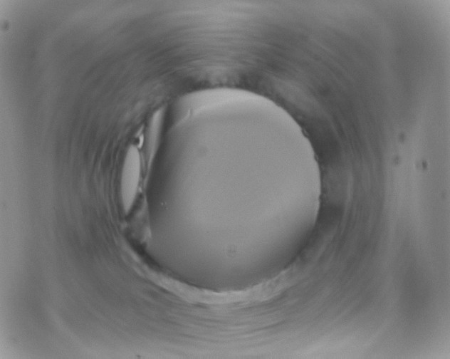 X0000070400039200606302022