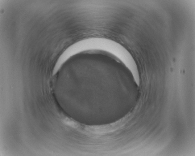 X0000070400041200606302022