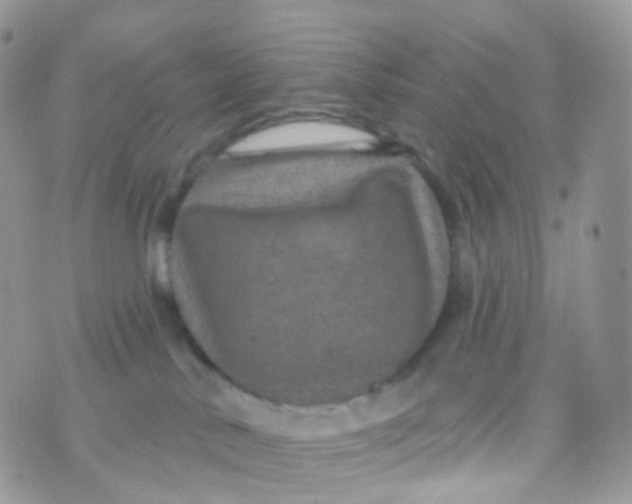 X0000070400042200606302022