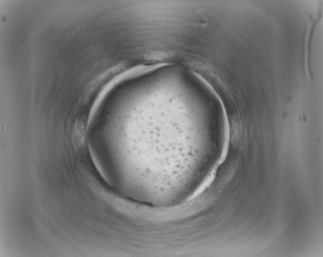 X0000070400043200606302022